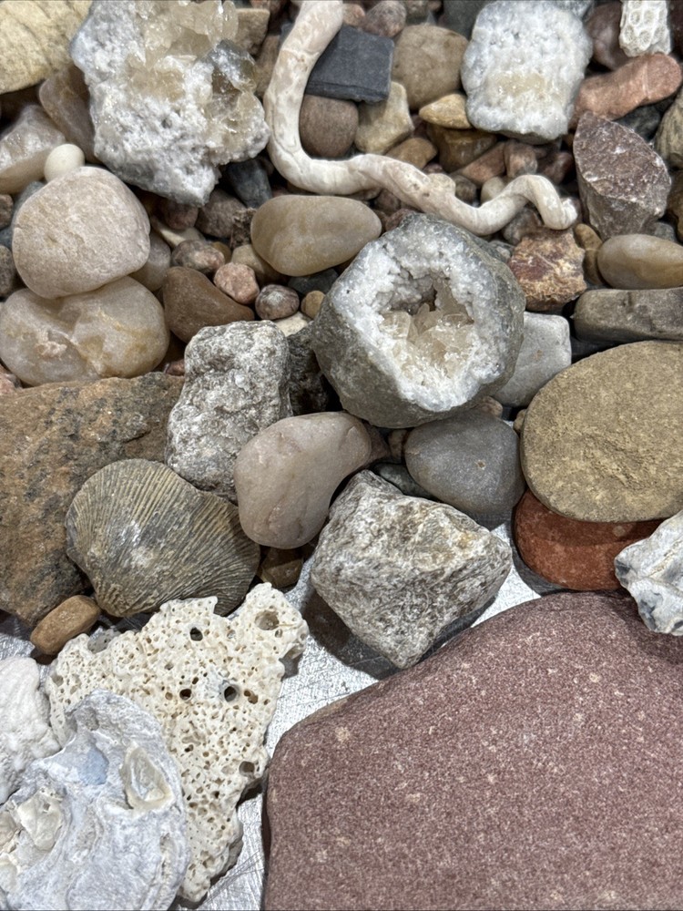 Collectable Rocks & Corral