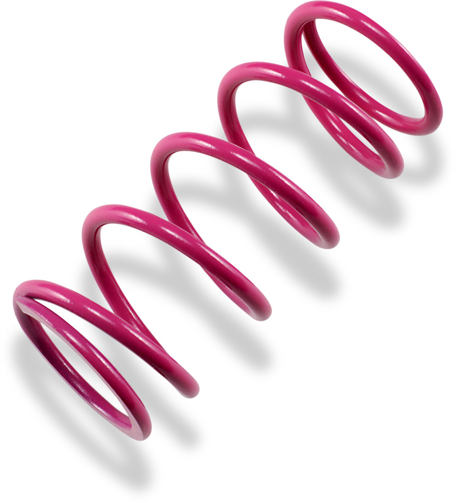 Epi Primary Clutch Spring Ps11