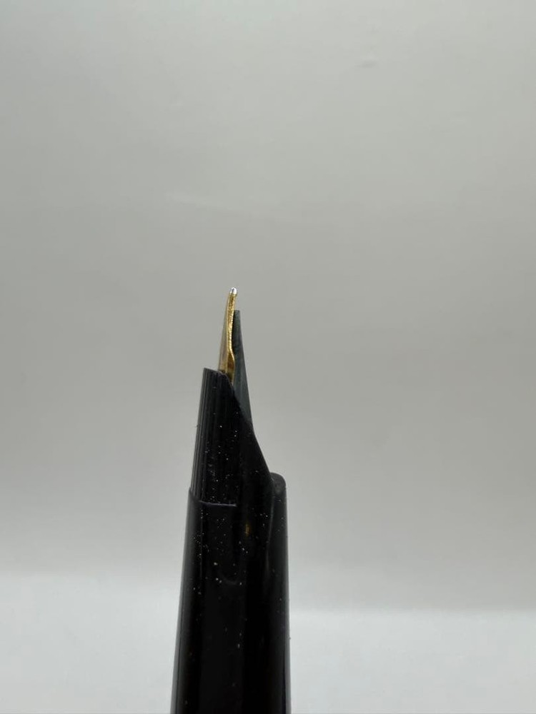 Fountain Pen Pilot 14K 585