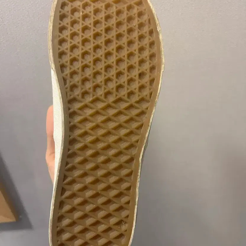 Vans Authentic Earth Graphic Sneakers