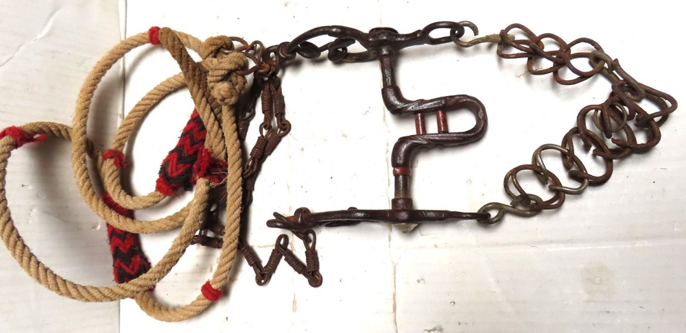 Antique Straight Bit with Snake Sides & Rein
