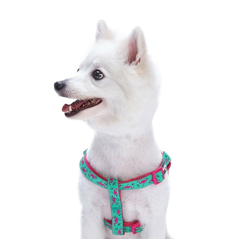 Blueberry Pet Essentials 2 Patterns Zoo Fun Dog Harnesses