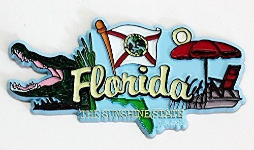 FLORIDA STATE ELEMENTS FRIDGE COLLECTIBLE SOUVENIR MAGNET