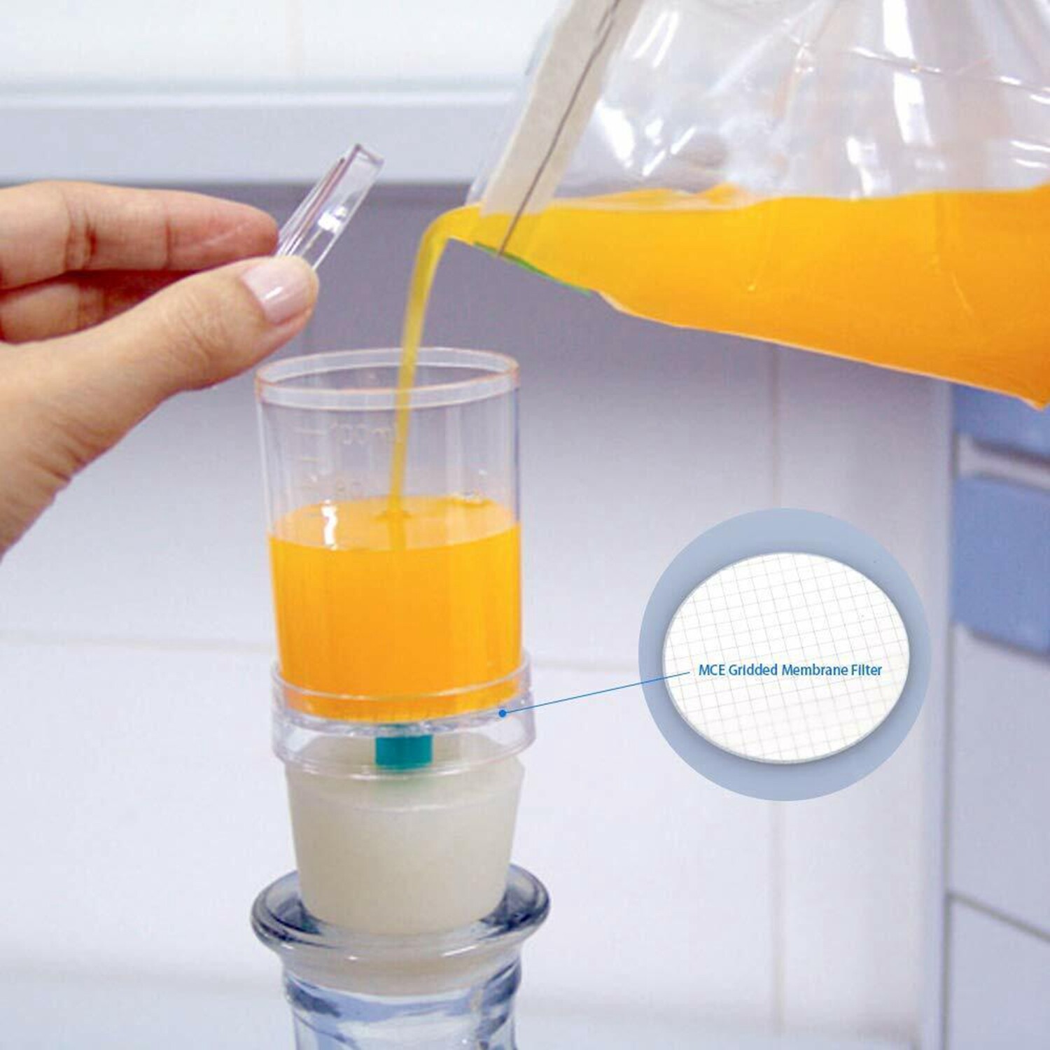 MCE Gridded Membrane Filters, 47mm Diameter, 0.22 um 0.45 μm Pore Size, STERILE