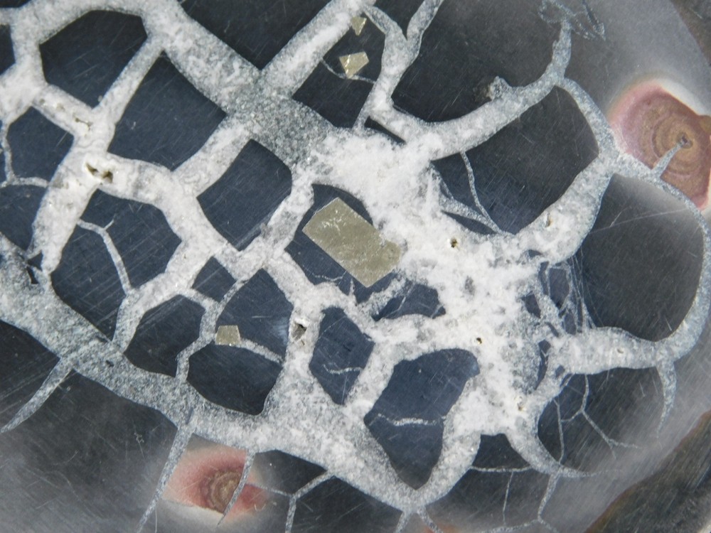 Neat! Lighting Like Pattern! Split and Polished SEPTARIAN Nodule Morocco 368gr