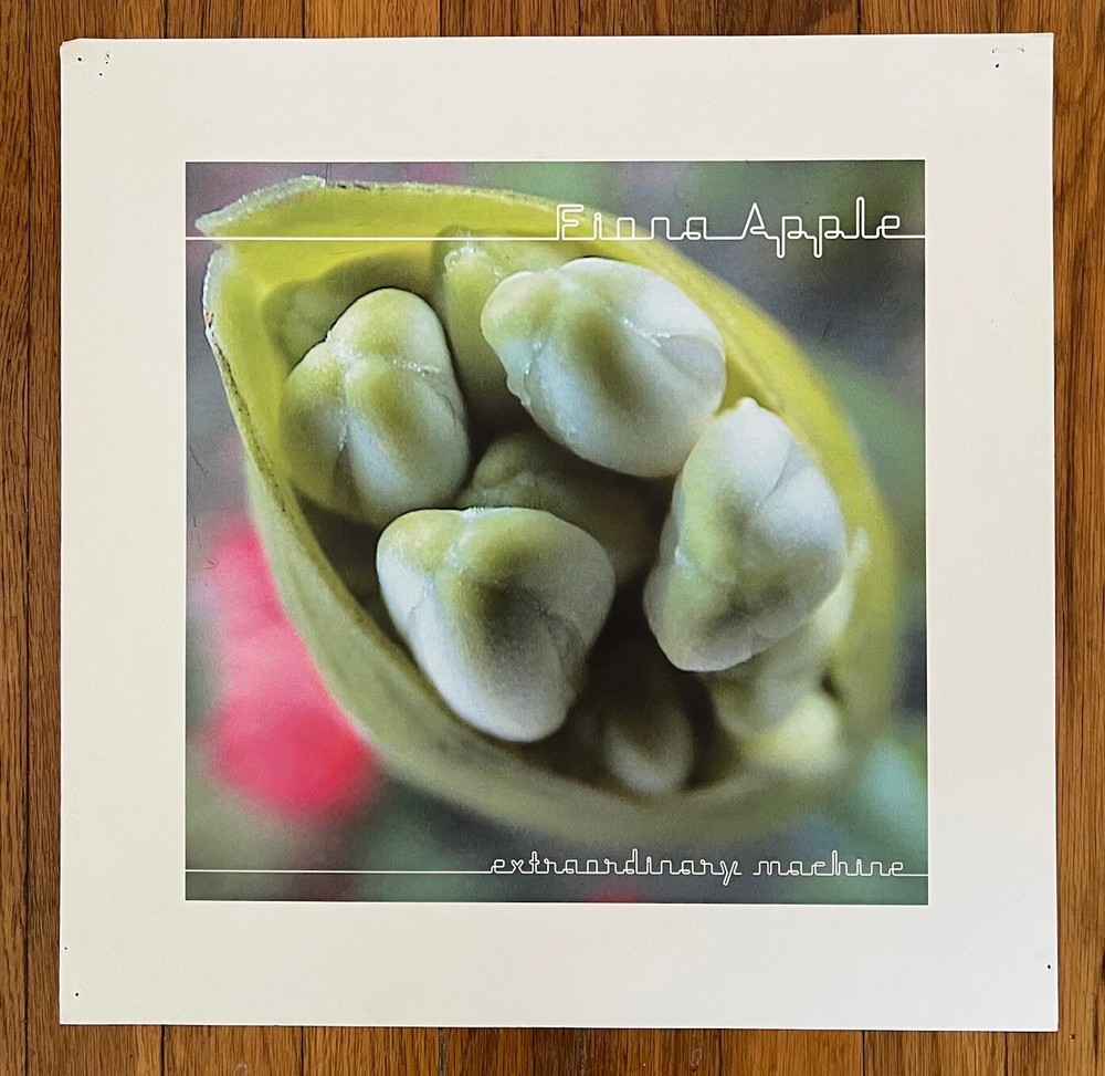 Fiona Apple - Extraordinary Machine RARE promo poster print '05
