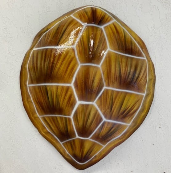 Hawks Bill Turtle Shell  Replica Call 352-457-9030