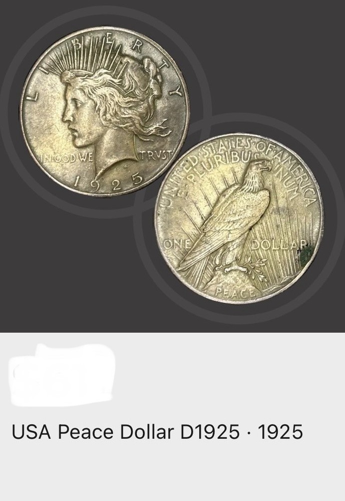 USA Peace Dollar 1925