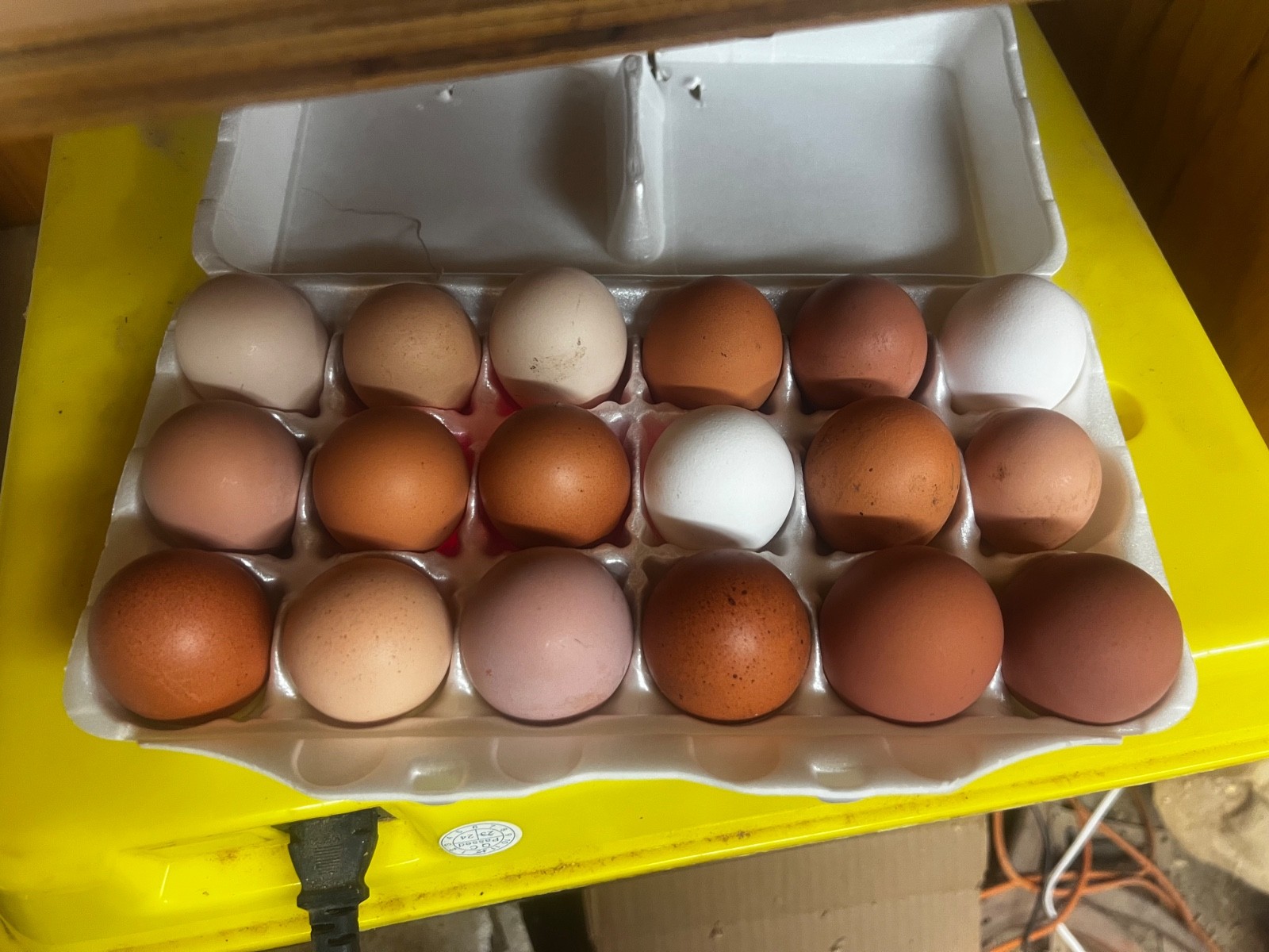 18 barnyard mix hatching eggs