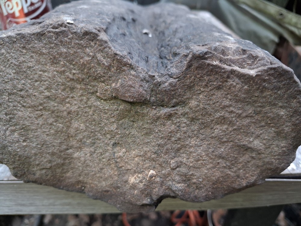 Petrified Wood Log