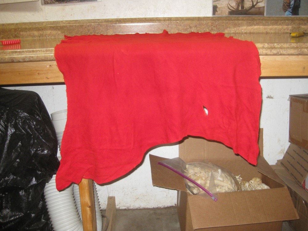 Red Suede Deer Leather #0006751 Row FF