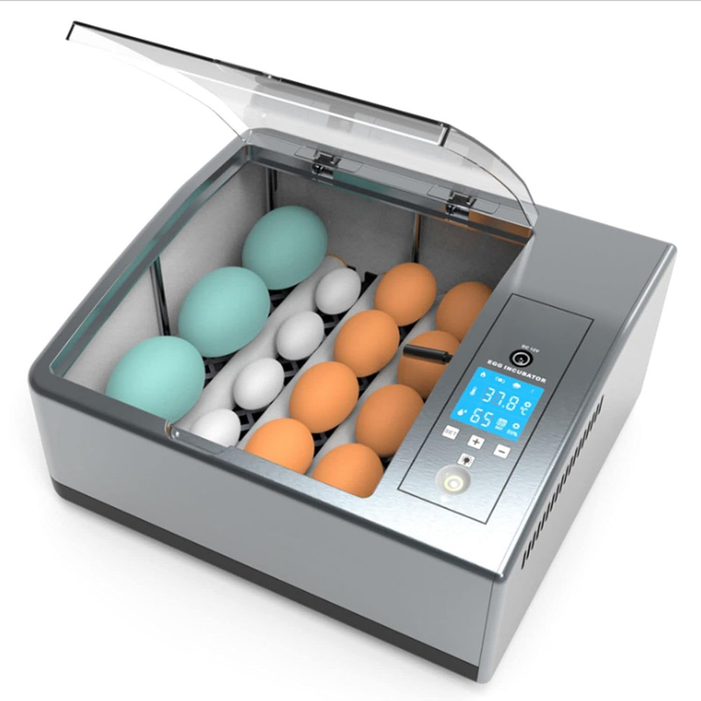 16 Chicken Egg Incubator,Mini Automatic Temperature Incubator, Fully Digital Hat