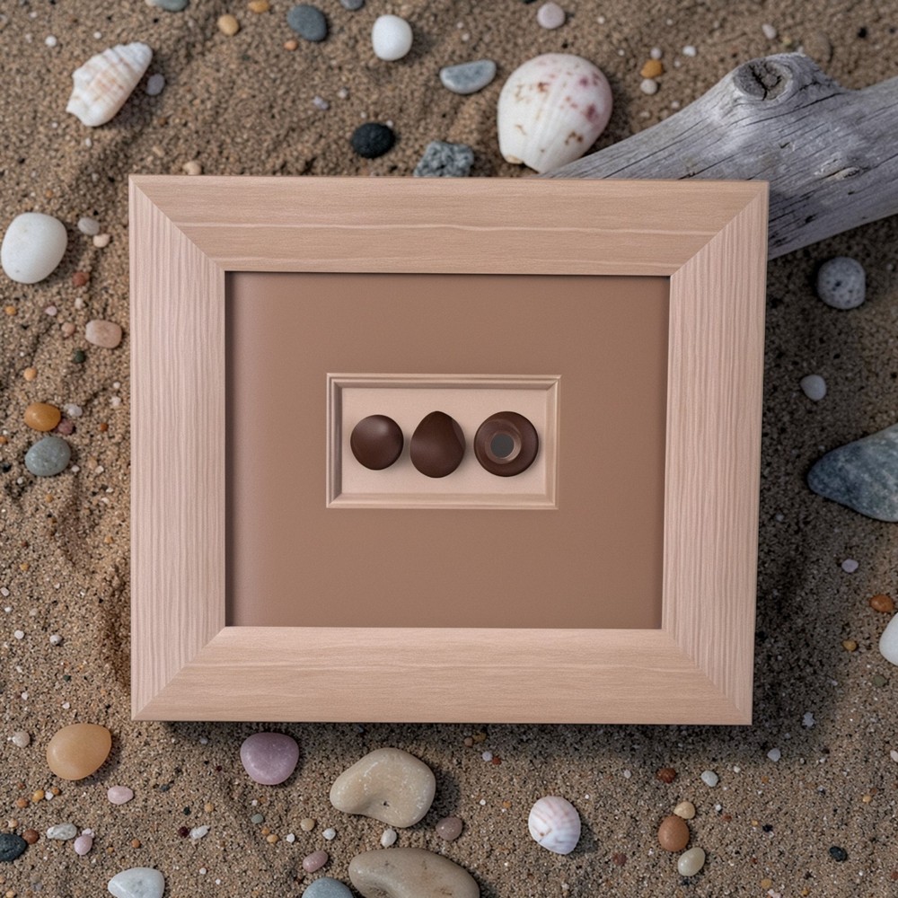 Framed Wall Art with Seashells Framed Ocean Art