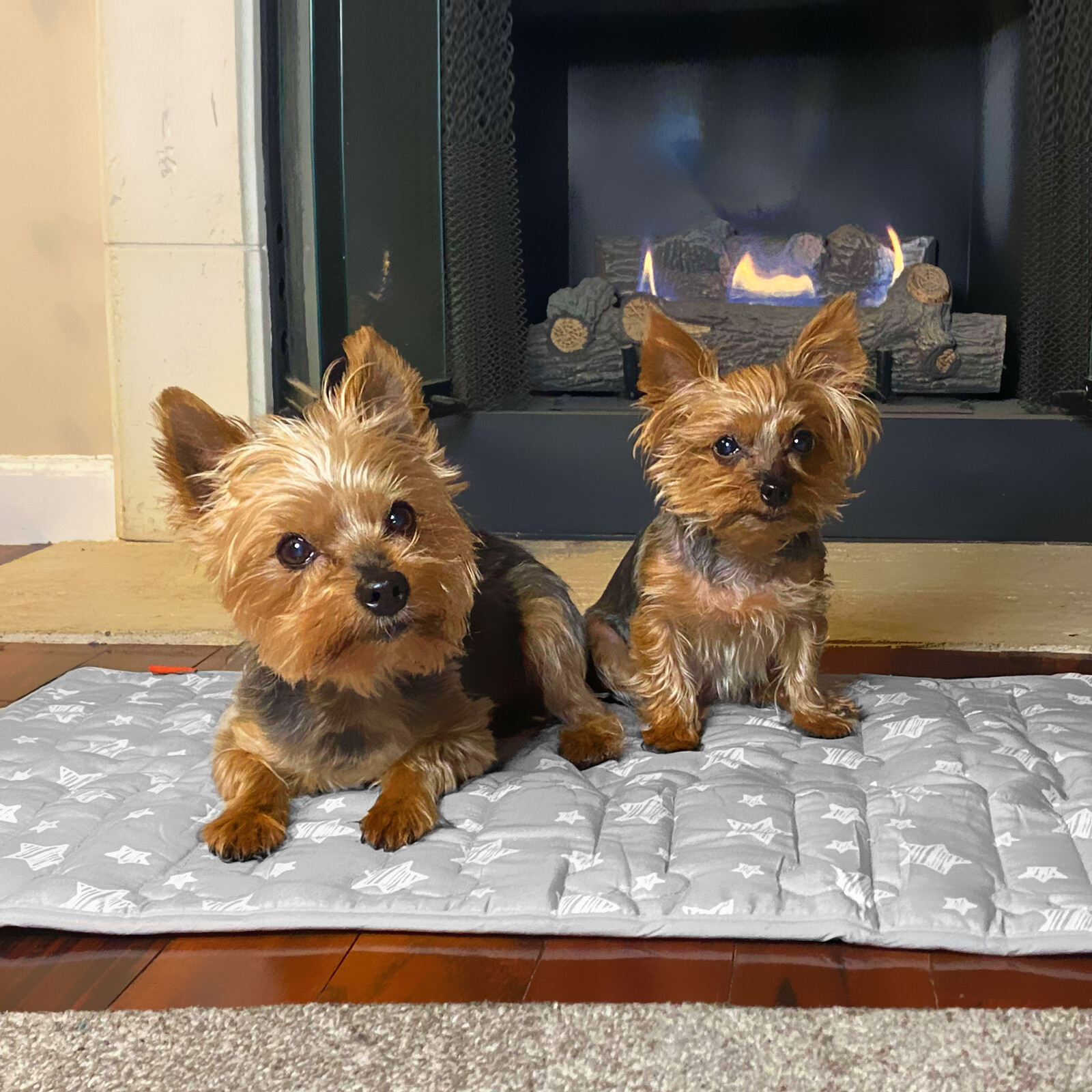 Dog Bed Mat with Cute Prints for Kennels Crates Beds Anti-Slip Bottom 3 Sizes