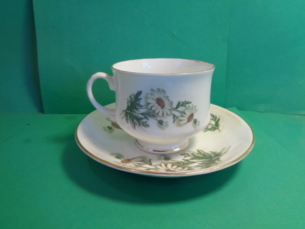 Daisy Pattern Cup & Saucer, Royal Bengal, India (Used)