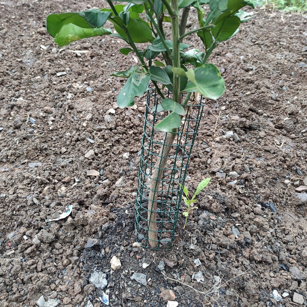 Tree Protectors-Tree Protectors from Deer,Tree Trunk Protector with Zip Ties ...