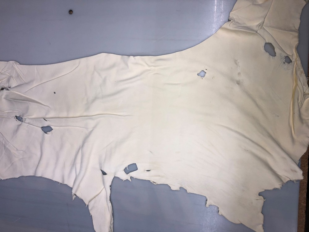 White Deer split pound stock