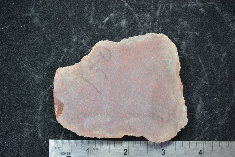 Agatized Dinosaur Bone Slab Utah Ex Shriley Collection