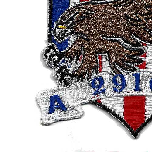 A Company 2916th Aviation Battalion 2 Star Patch