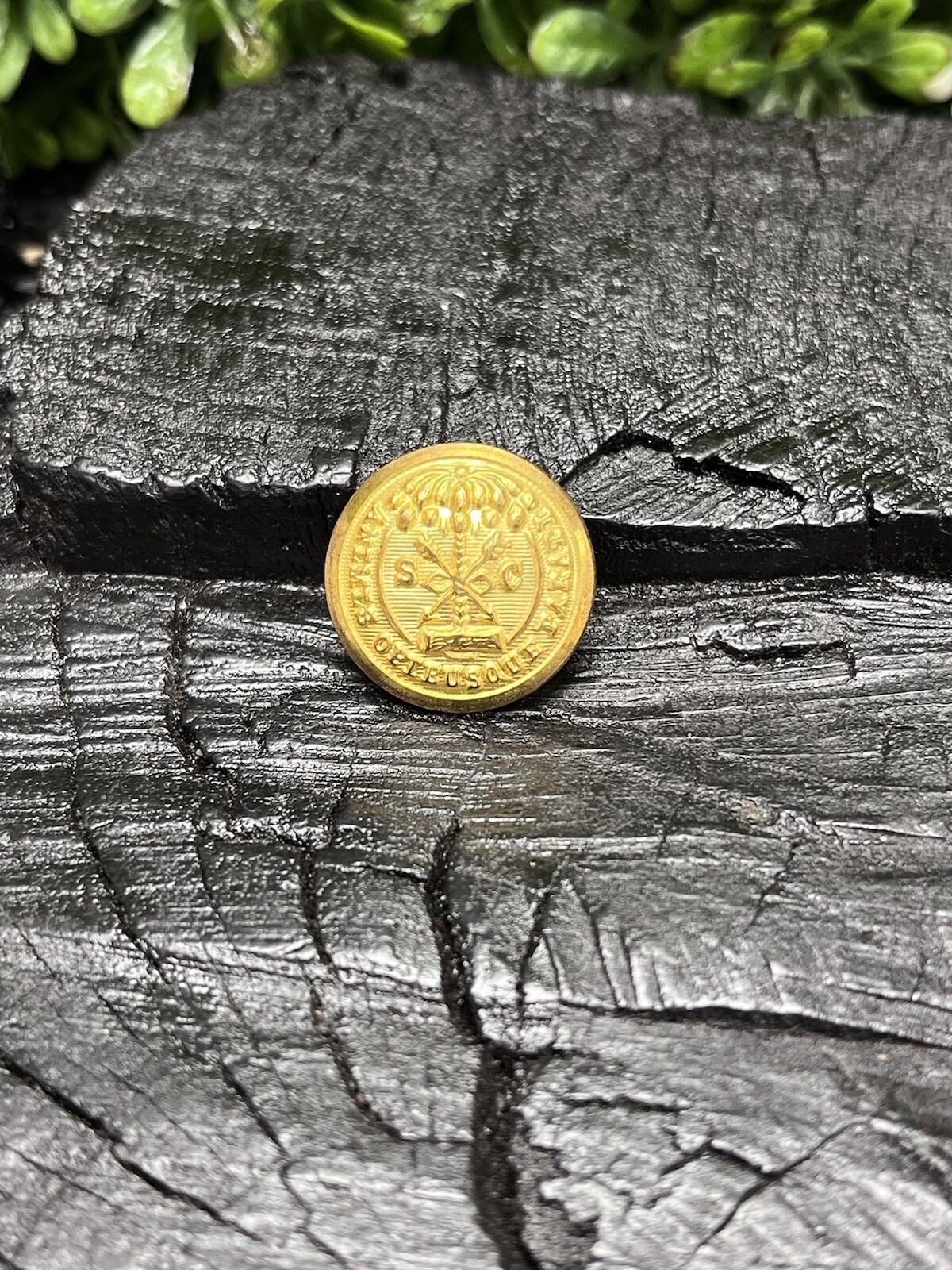 Old Rare Vintage Antique War Relic South Carolina Button Free Display Case