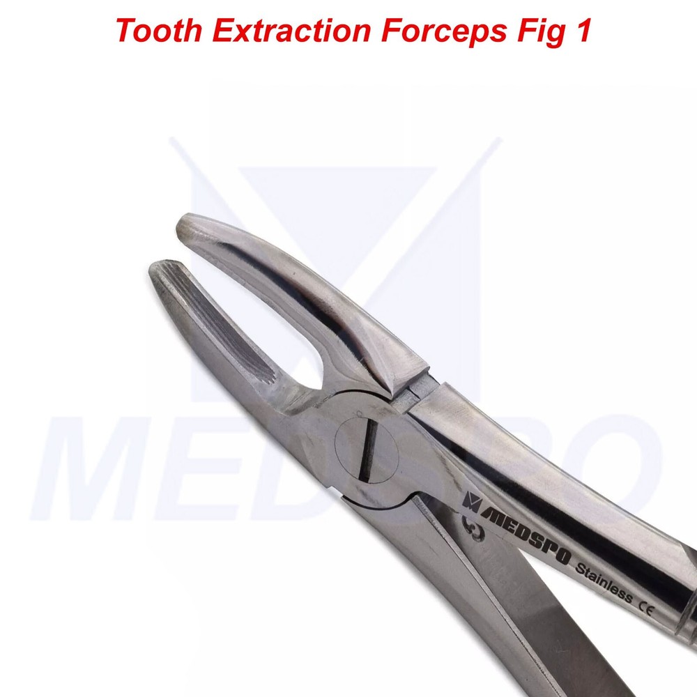 Dental Extraction Forceps Fig 01 Upper Incisors Tooth Extracting Instruments CE