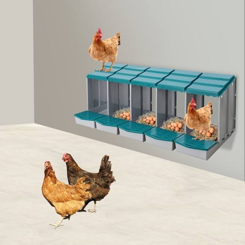 Chicken Laying Box Modern 5-Compartment Chicken Nesting Box with Egg Collection