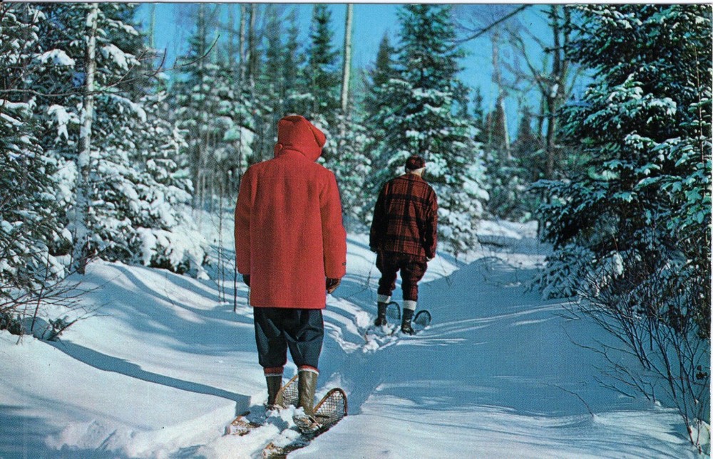 GREETINGS FROM WISCONSIN - PC1274