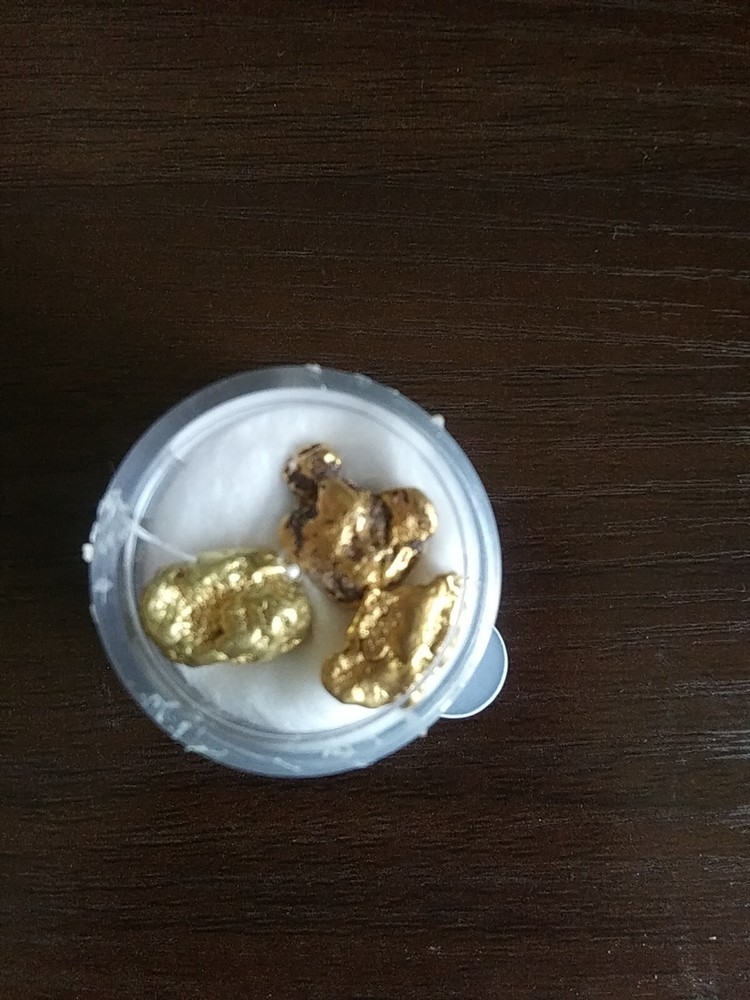 9.0g Gold - 3 Nuggets
