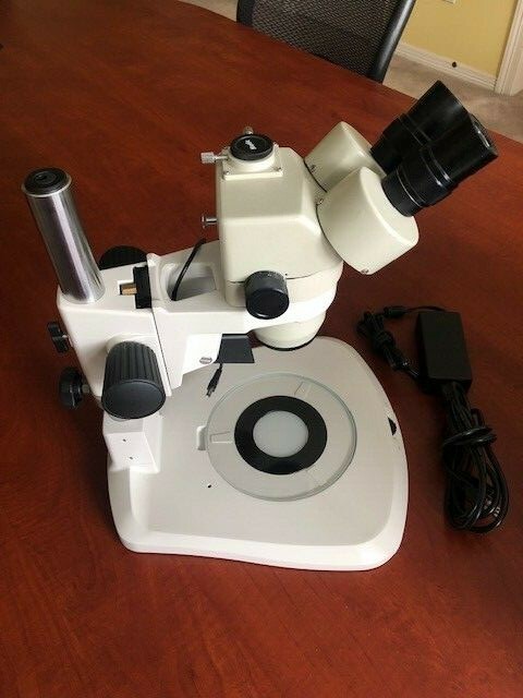 Motic Greenough Trinocular Stereo-microscope