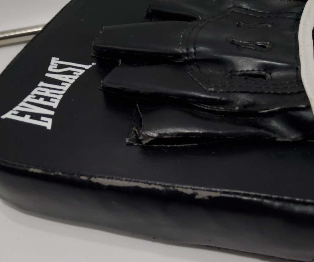 Everlast Boxing Target Punch Mitt