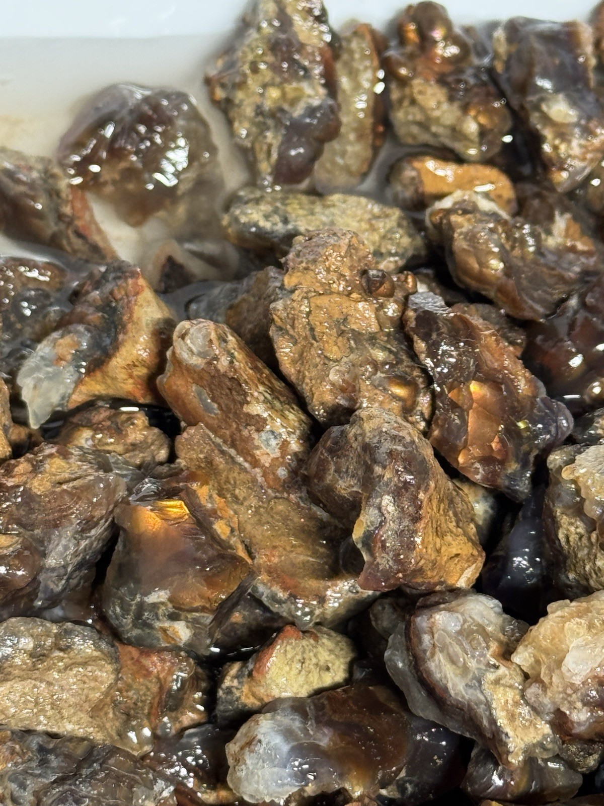 1/2 Lb Mid to Choice Grade Fire Agate Smalls Untreated Colorful Blind Grab Rough