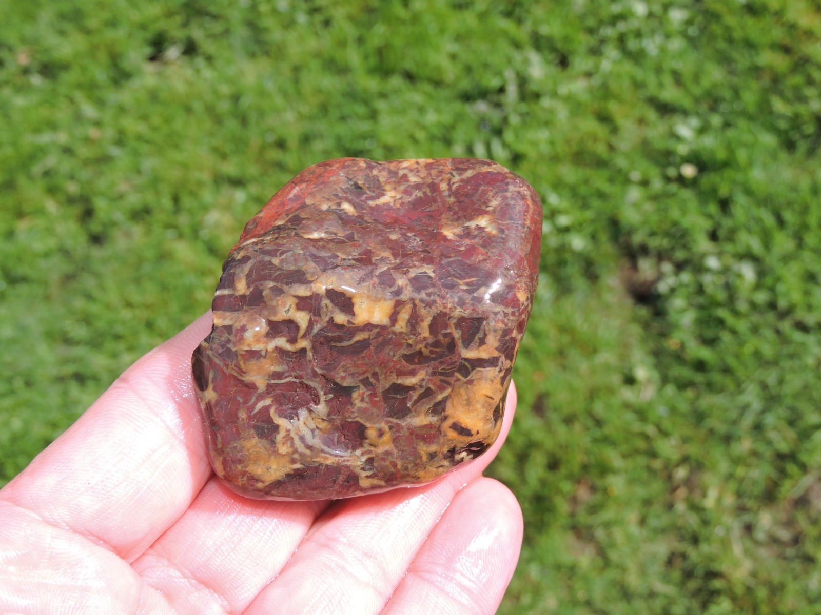 Lot of 🌈 Tumbler Size RAINBOW MIXED STONES from PNW (11.5 lbs) WEST COAST ROCKS