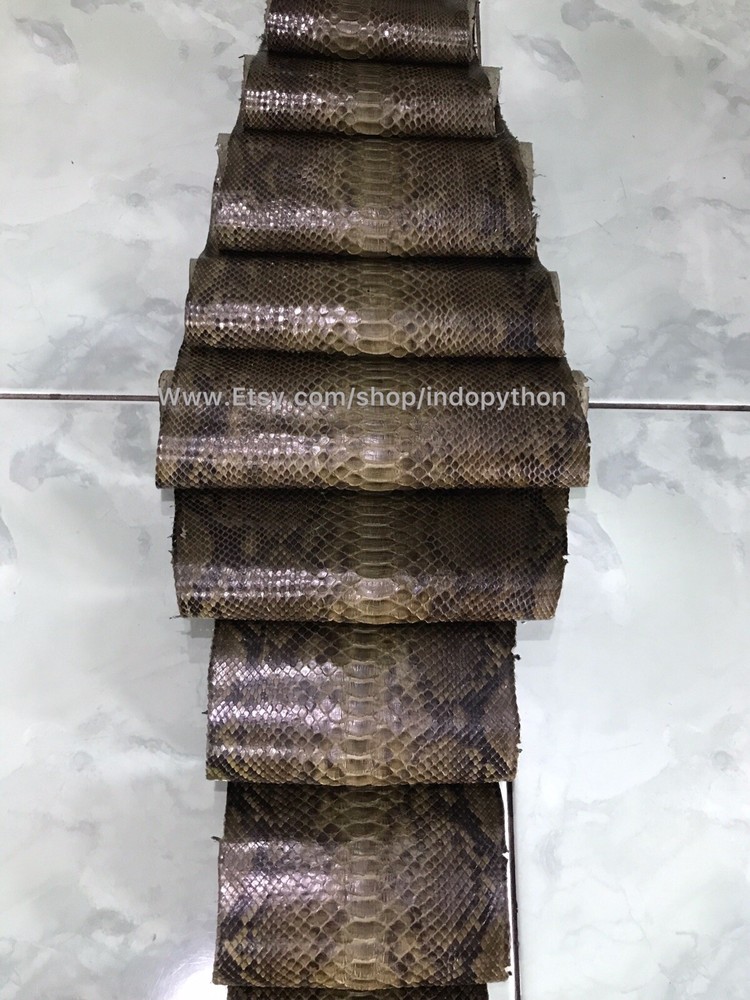 Genuine Python Leather, Exotic Snake Skin, Green SnakeSkin, Green Python Leather