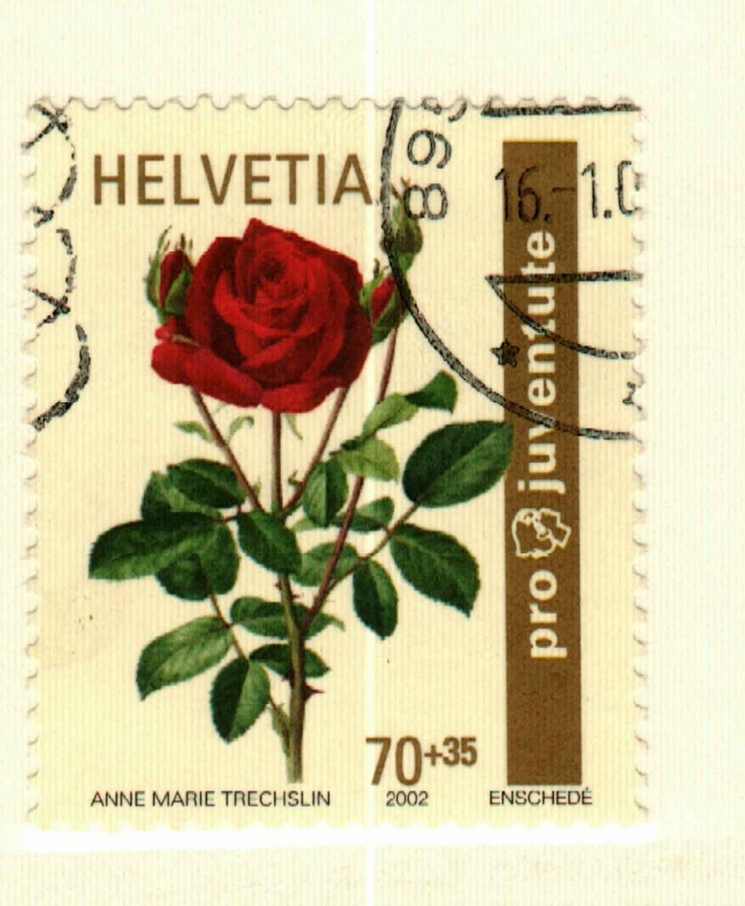 Switzerland #B669 used Roses