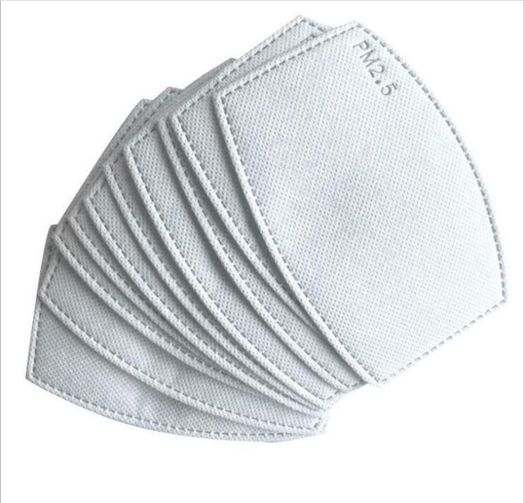 Face Mask with PM2.5 Filters