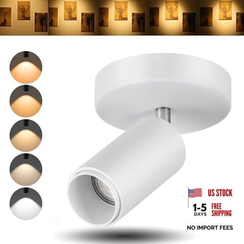 5CCT LED Ceiling Spotlight 12W Dimmable Ceiling Light White- 12 Watts