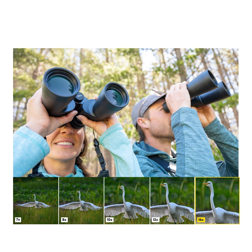 Nikon 16x50 Action Binoculars