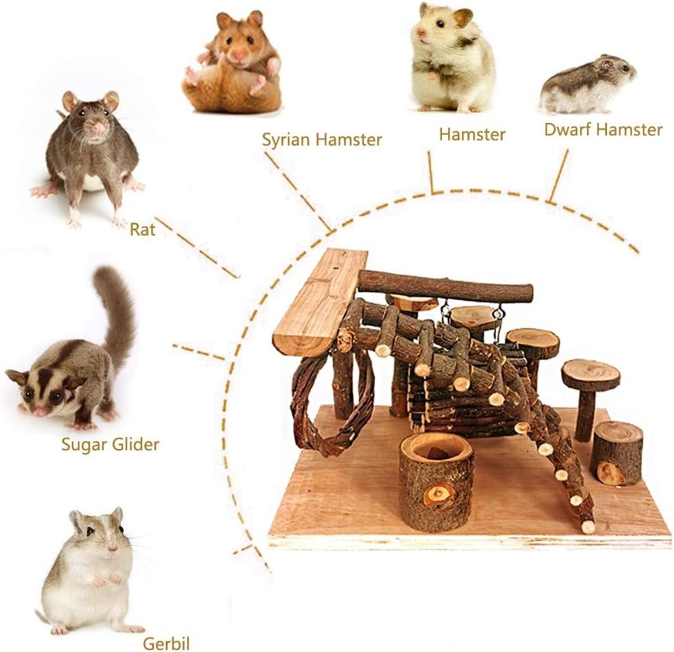 Hamster Playground Platform - Climbing & Jumping Set