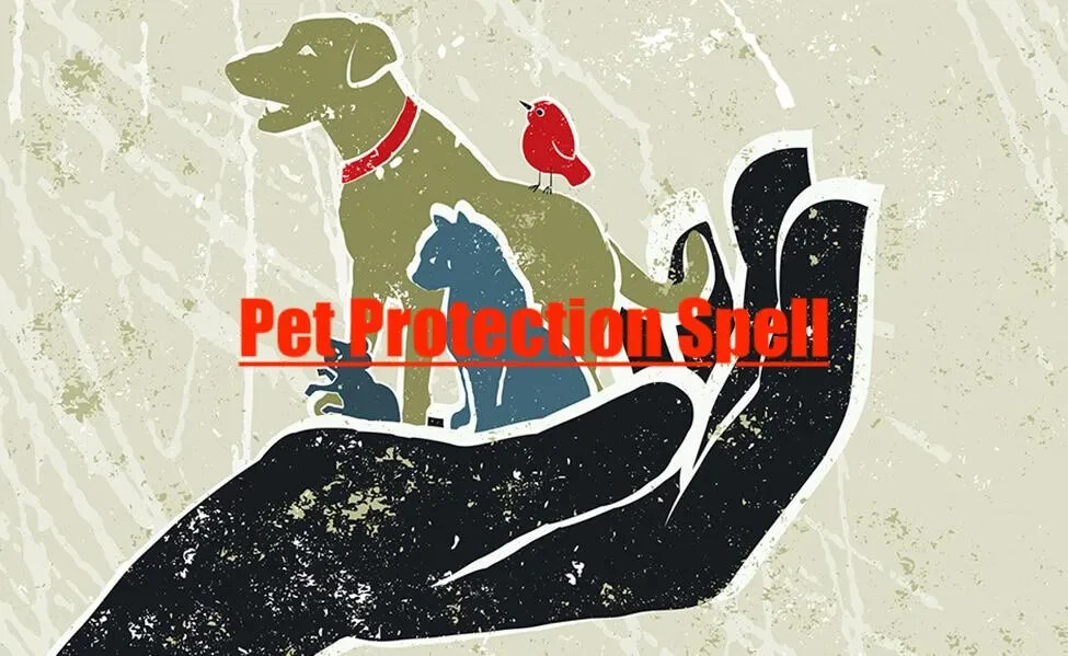 Pet Protection Spell