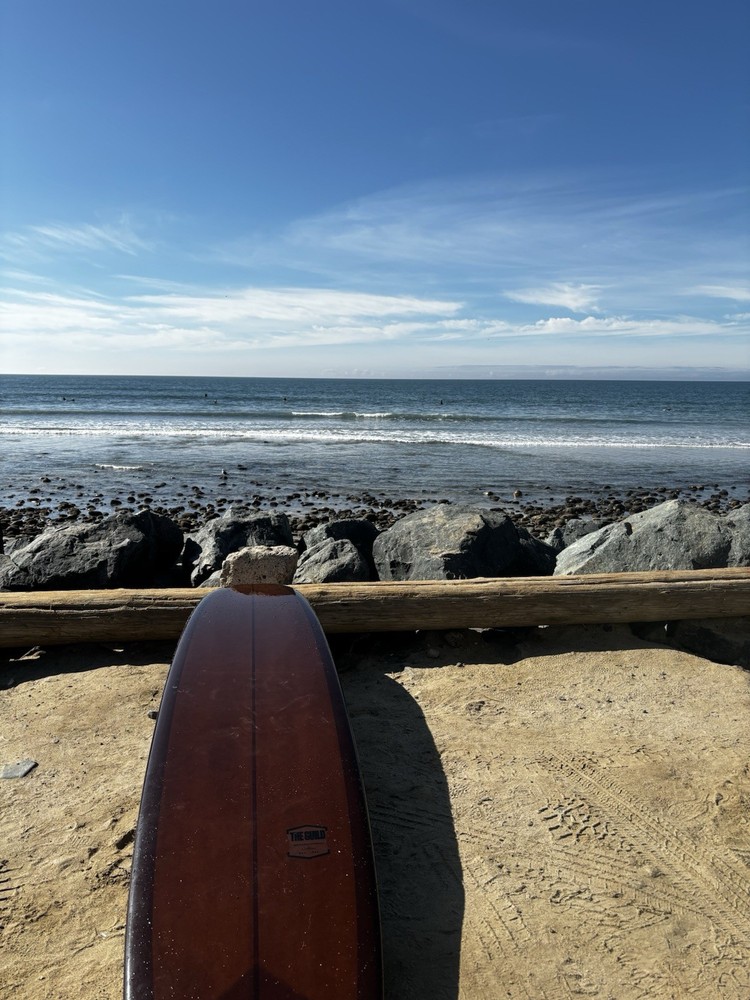Bushman Longboard Surfboard