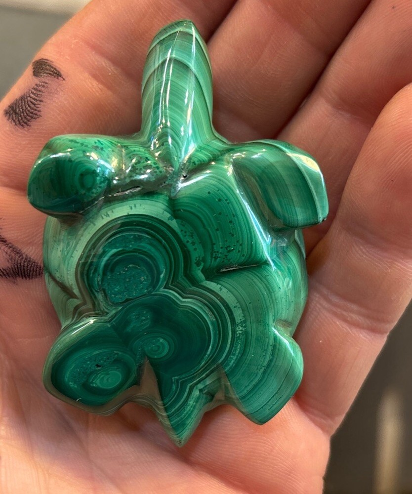 2” Malachite Turtle