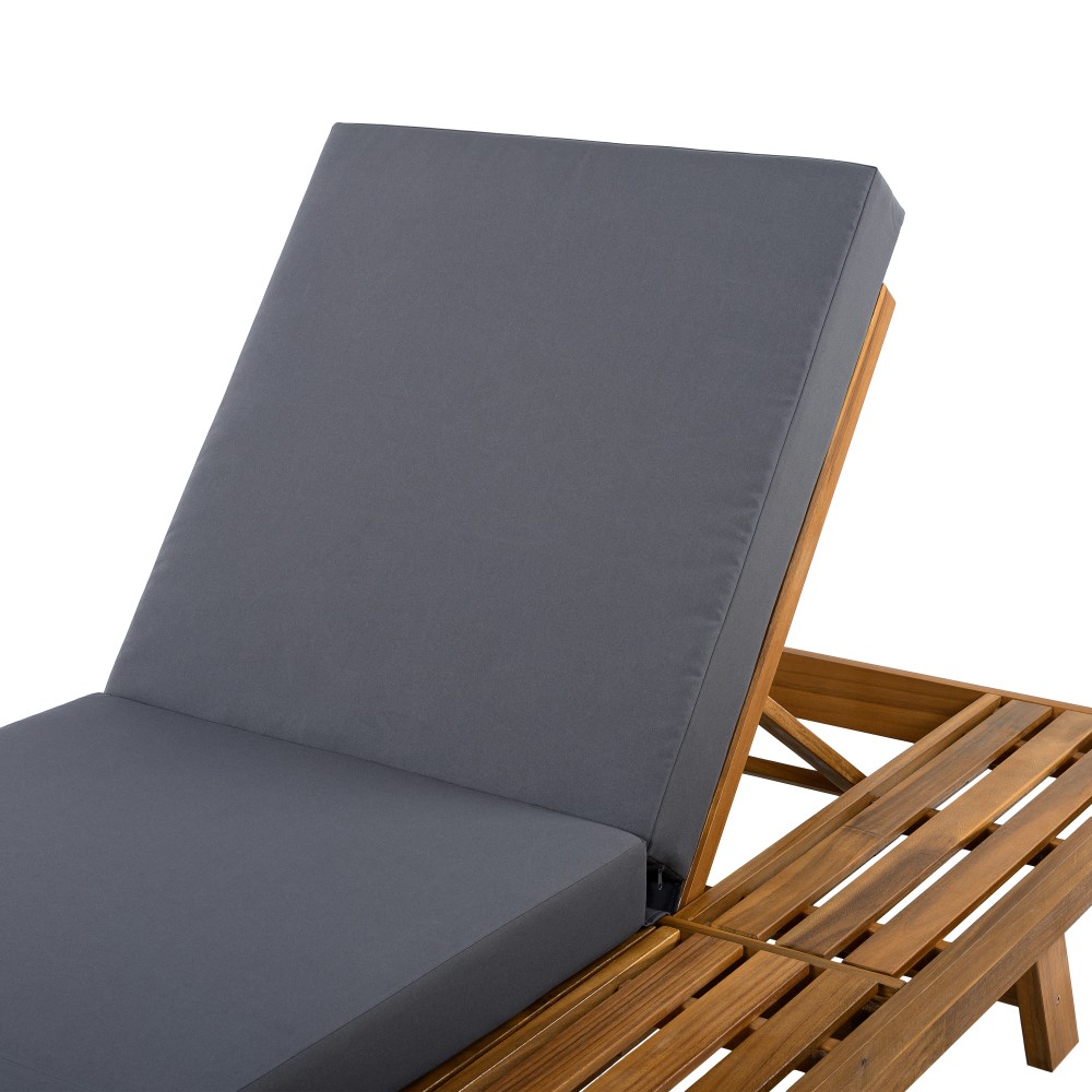 Outdoor Adjustable Chaise Lounge Chair Set with Waterproof Cushion and Backrest