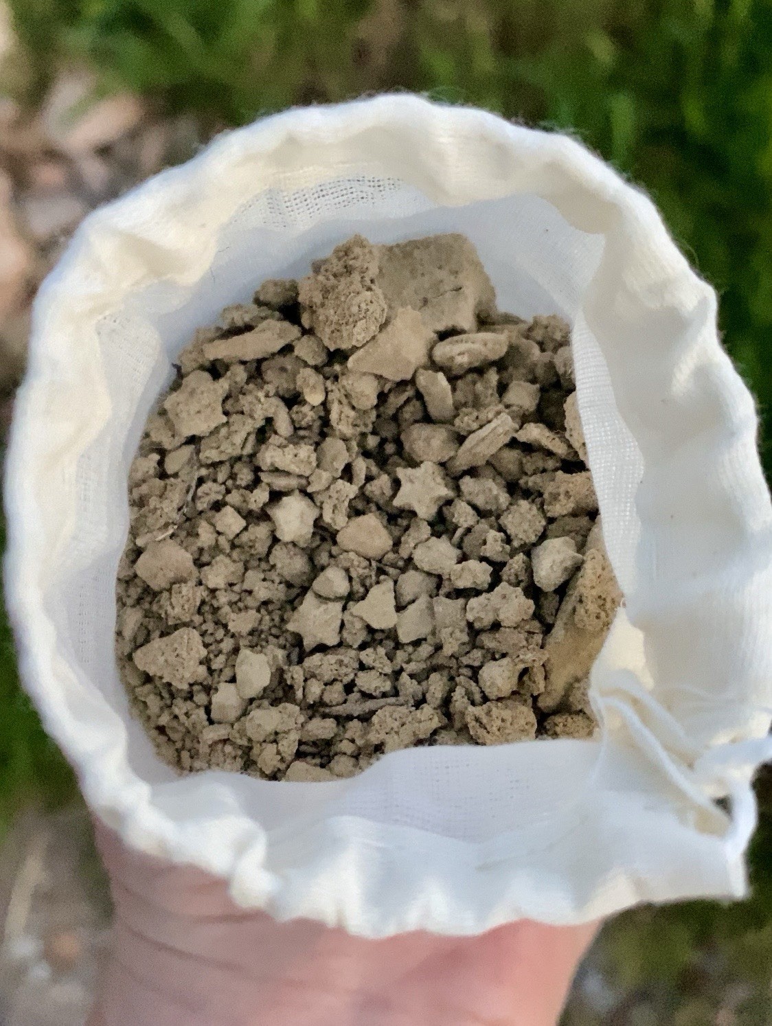 Crinoid Star Fossil Dig Bag