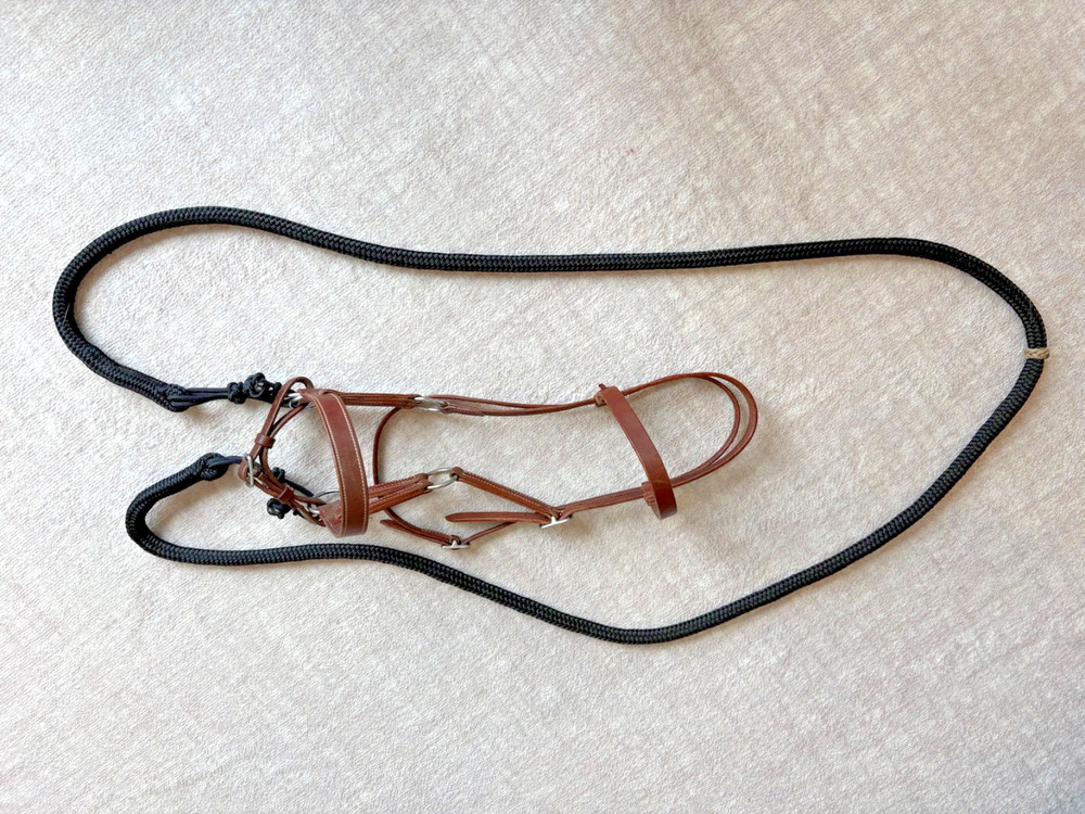 8.5' Poly Loop Rein, Braided Knots and Center Braid Ring, with Leather Sidepull