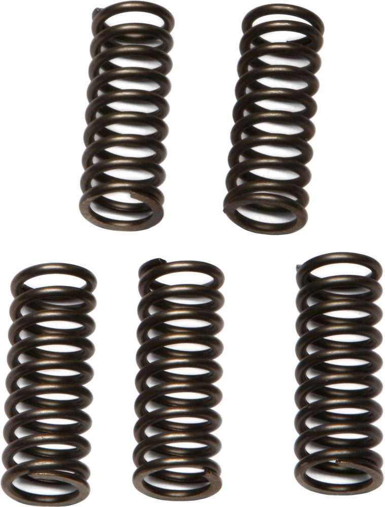 EBC Clutch Spring Set CSK97