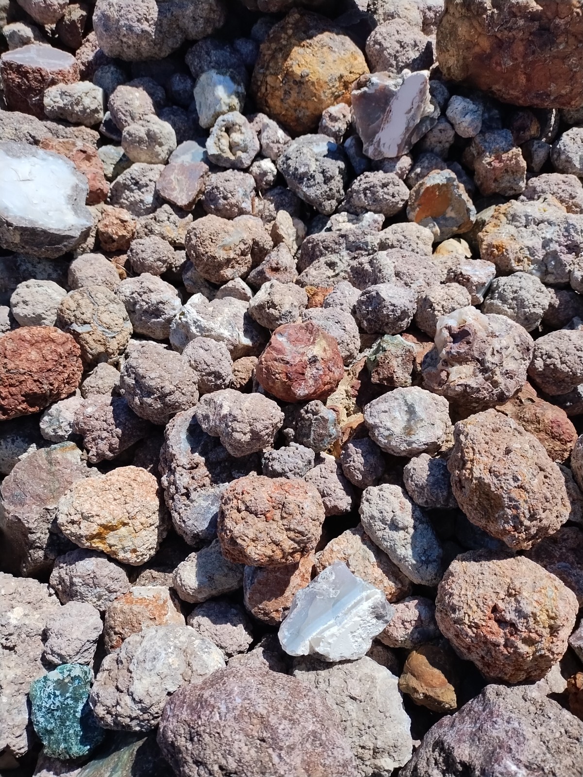 Thundereggs, Oregon, 4 Pound lot, Whole Uncut Rough, Agate
