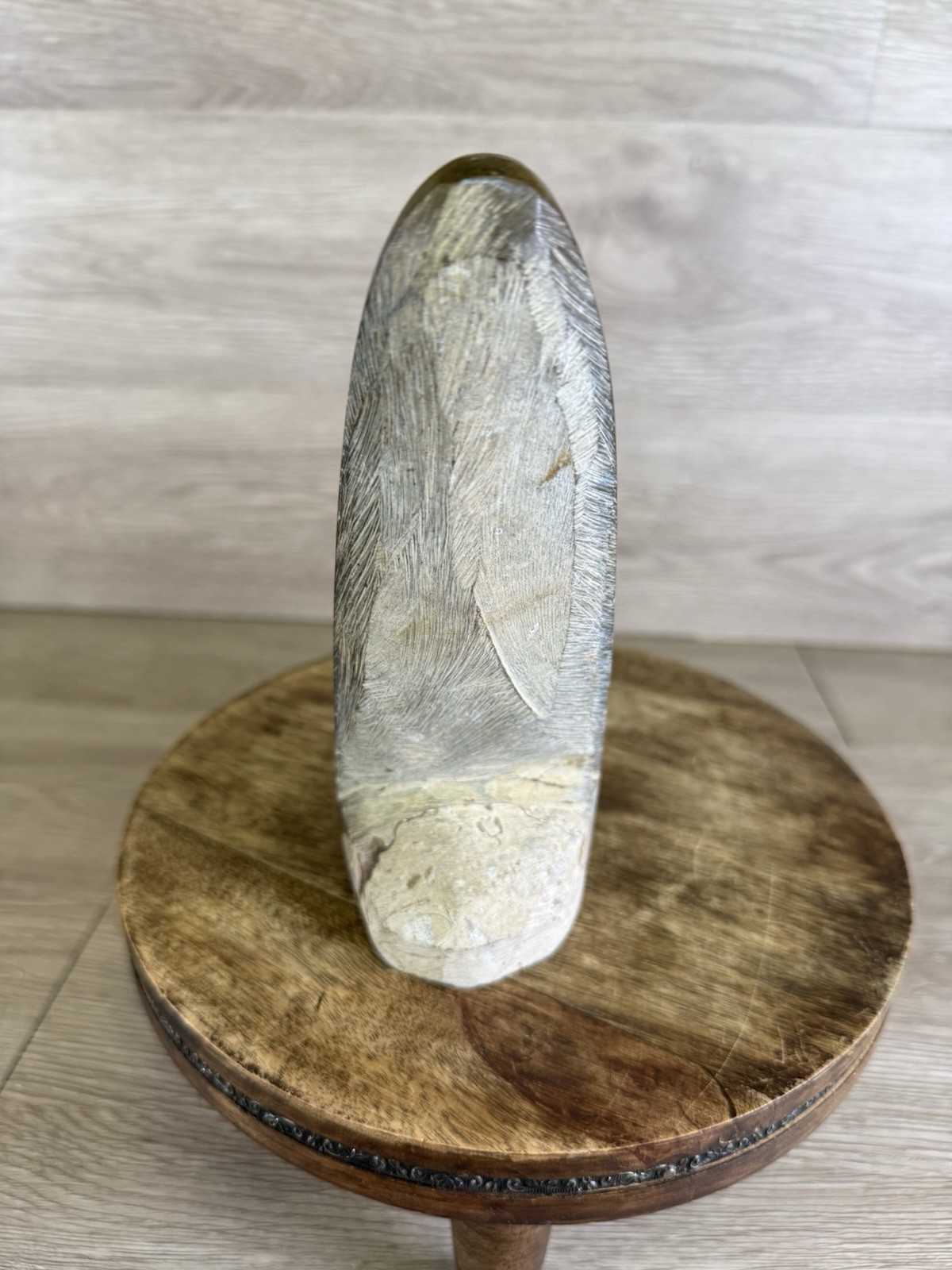 Vintage Standing Orthoceras Fossil 7” - Prehistoric Cephalopod Natural Display