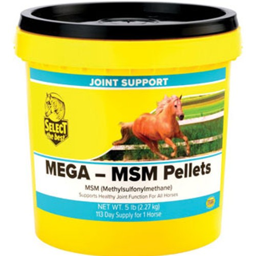 Mega MSM Joint Supplement Pellets