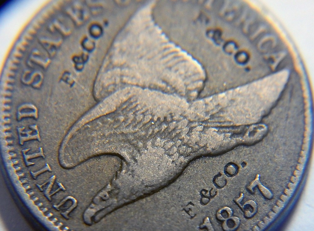 Flying eagle cent/penny 1857 counterstamp F & CO. multiple strikes