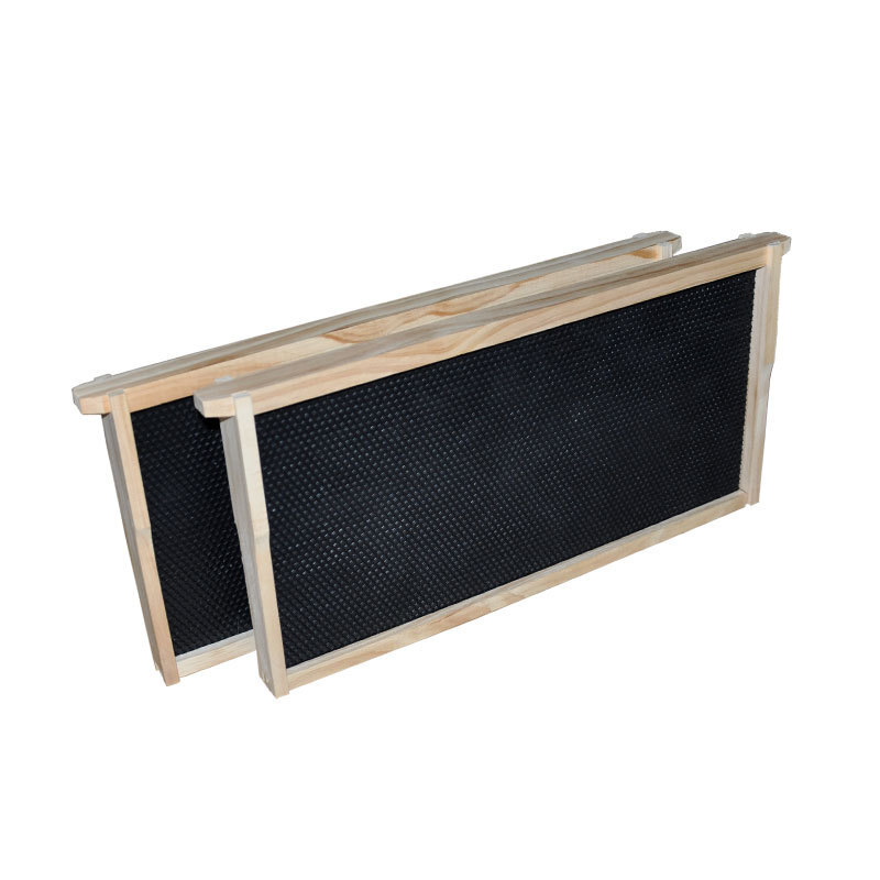 1 Layer Beehive Super Box Deep 10 Frame Wax Langstroth Beekeeping & 10X Frames